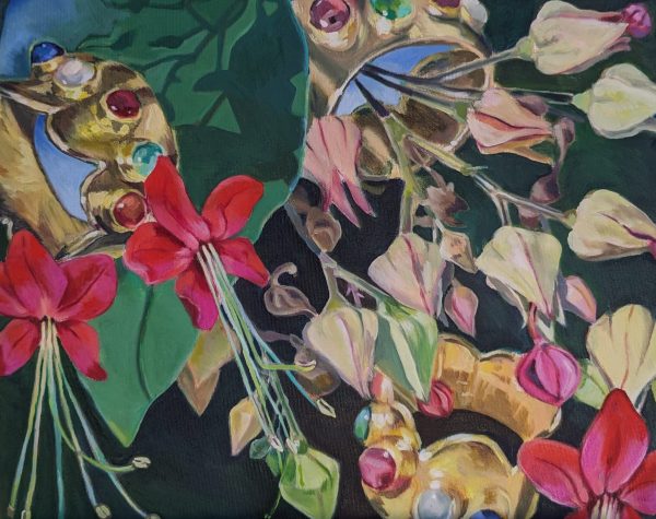 Clerodendrum umbellatum 2024