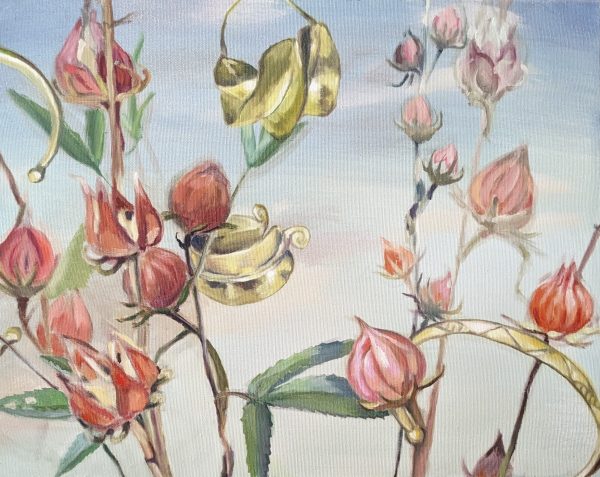 Hibiscus sabdariffa 2024