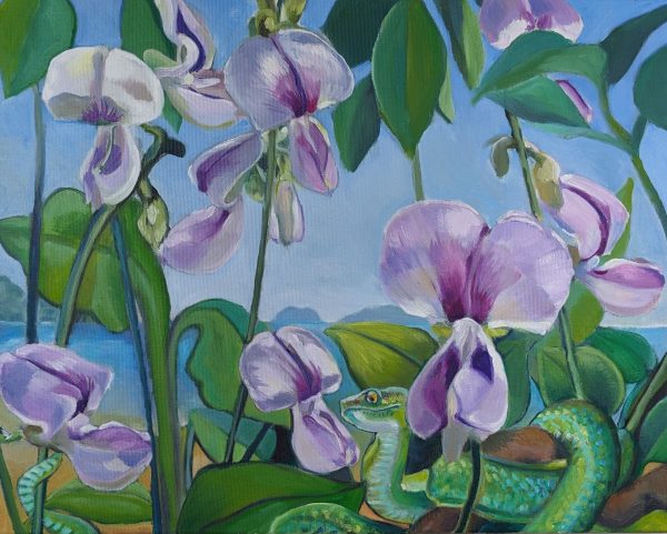 Kudzu und grüne Pit Viper 2024