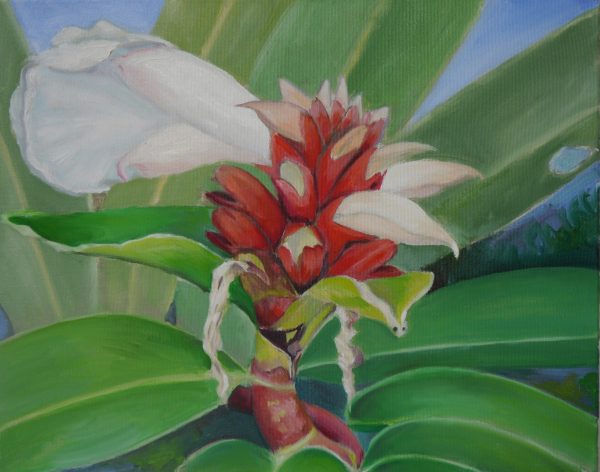 Prächtiger Kostwurz 2023